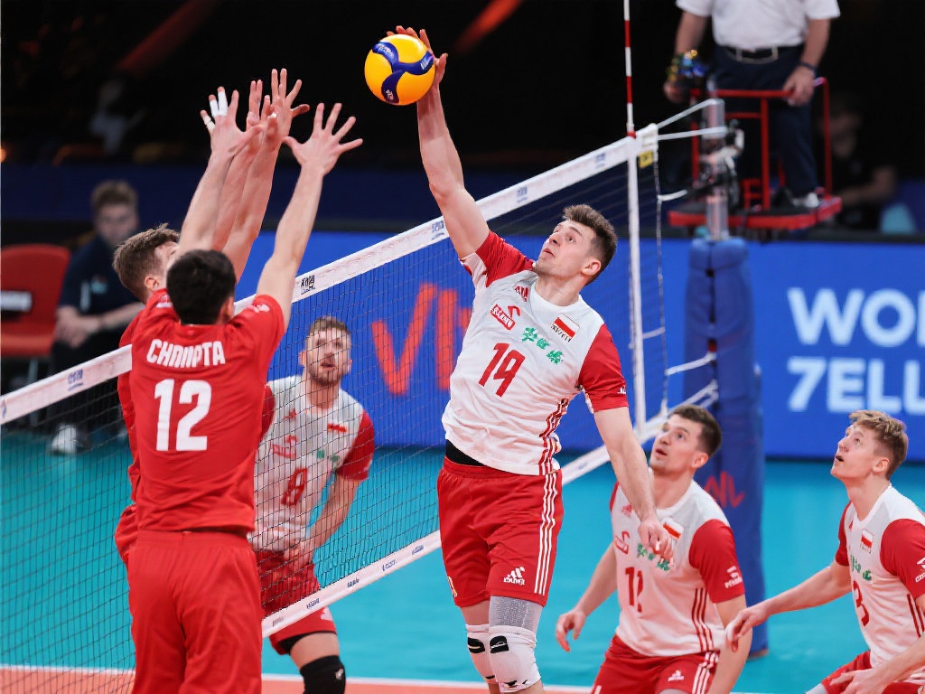 重返教练岗 重返教练岗