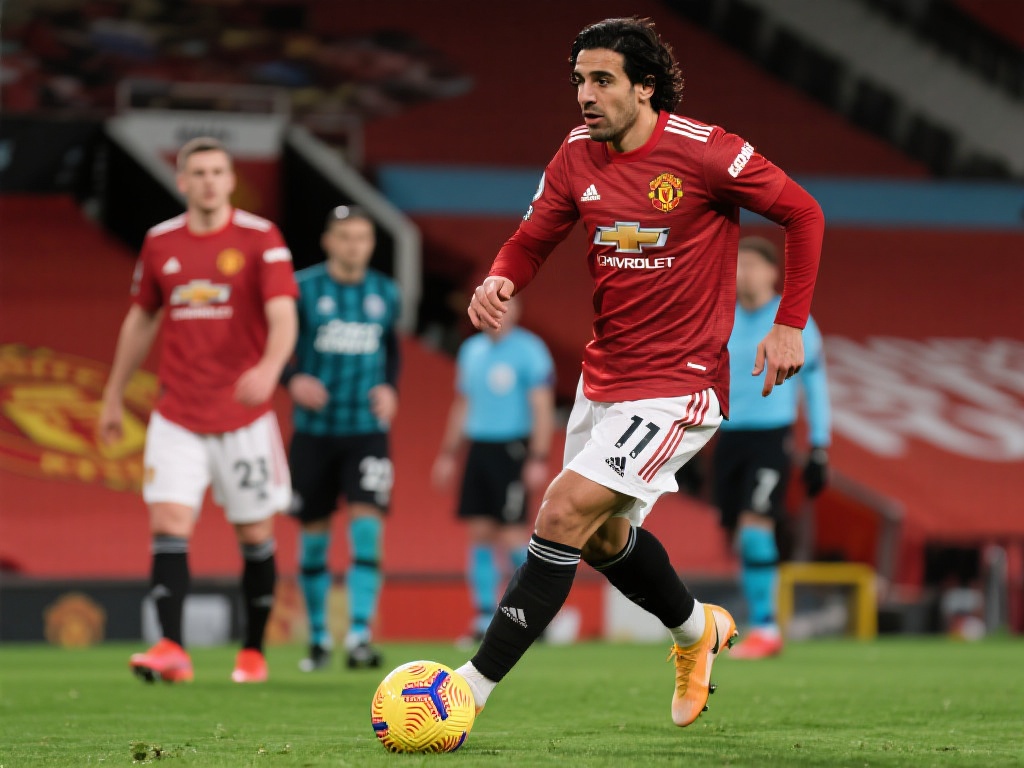 的观看历史 的观看历史