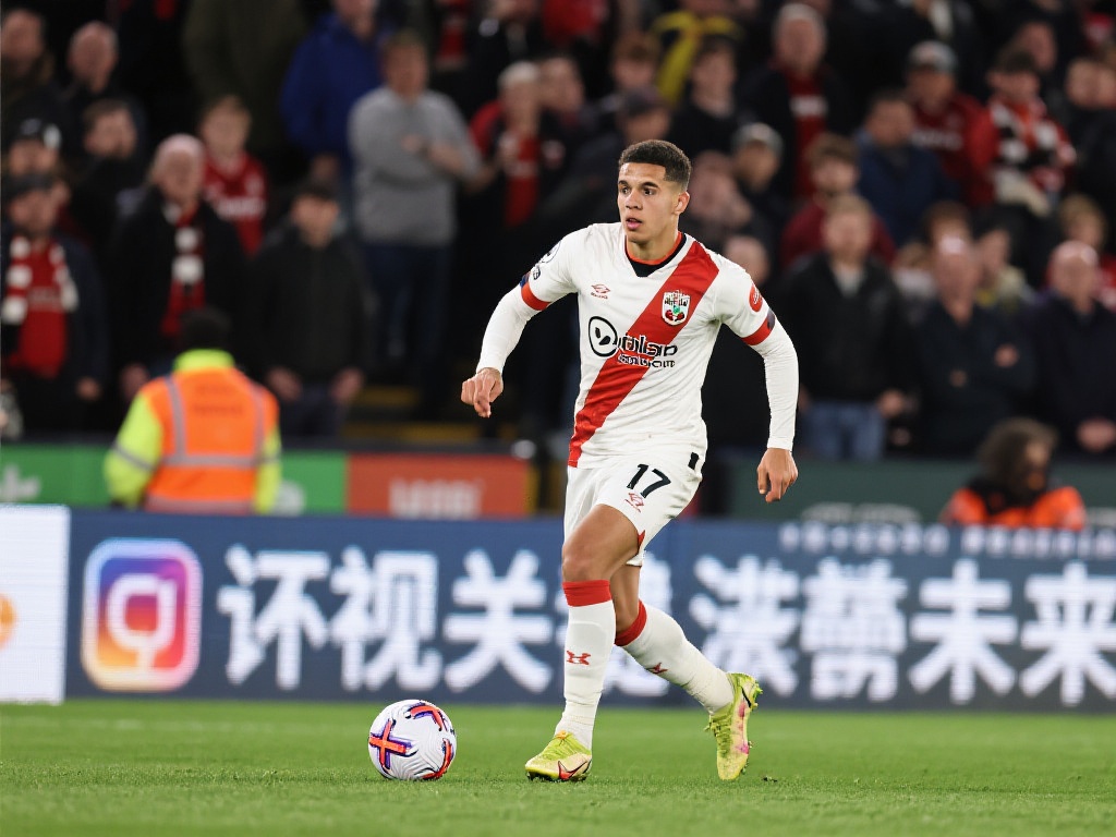 仅在运动中 仅在运动中