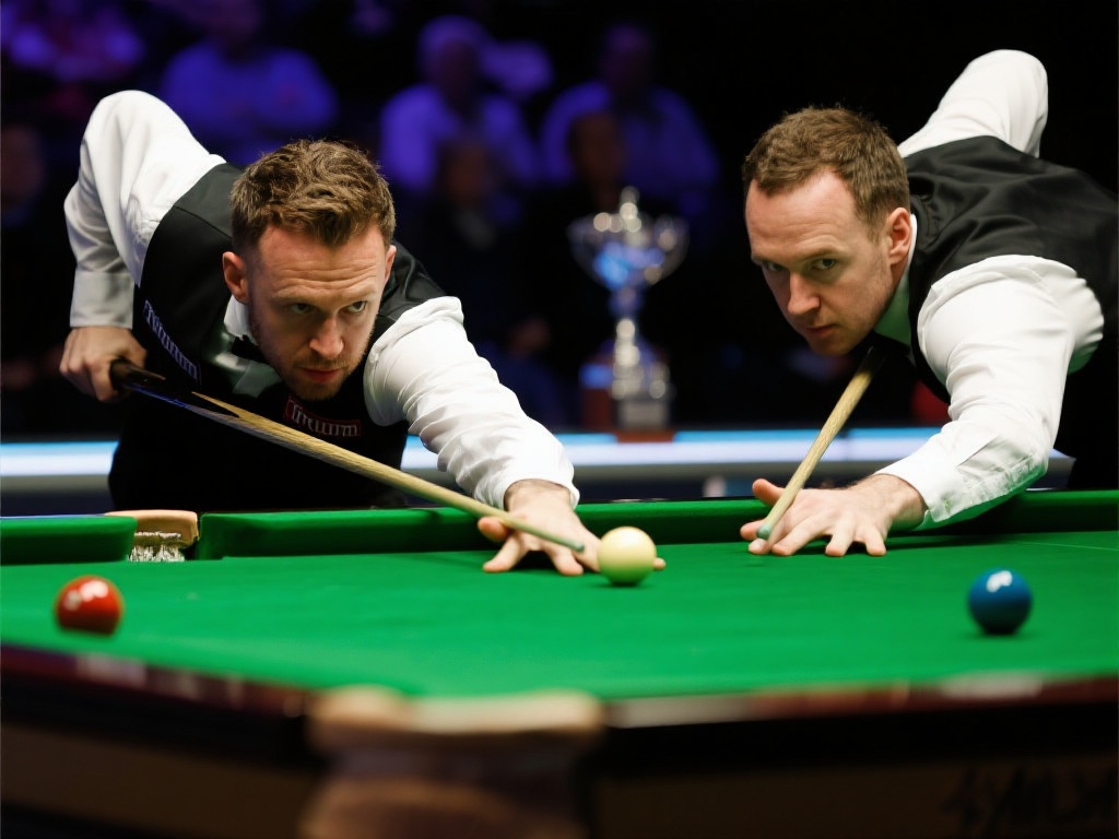 提升了观众 提升了观众